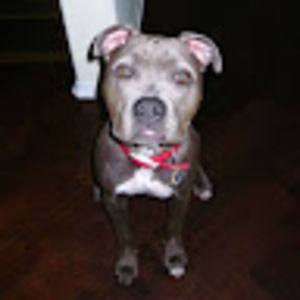 Meet your Posher, Beth